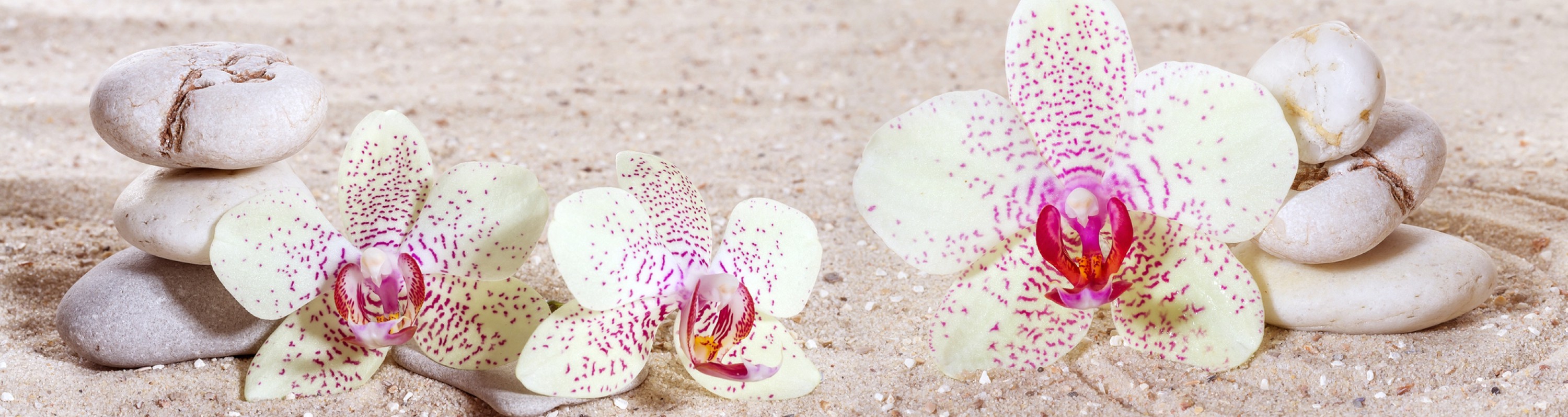 Massage Entspannung Stille Ruhe Achtsamkeit Zen Orchidee Sand Steine